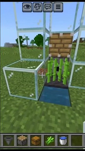 Latest and Easiest sugarcane farm in minecraft bedrock edition .#minecraft #sugarcane