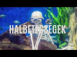 2. Alapvető biológiai folyamatok az akváriumban (Akvarisztika kezdőknek)