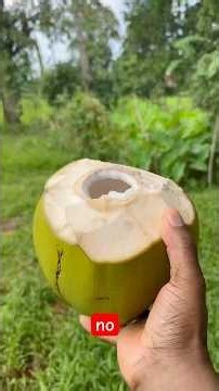 Nothing beats a fresh buko (young coconut) straight off the tree in the Philippines.