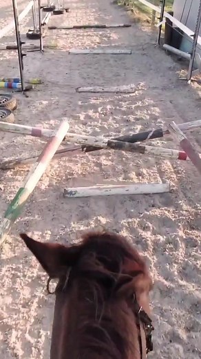 Learning to Jump in the Arena