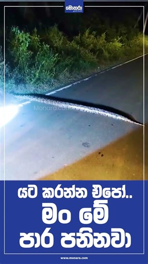 යට කරන්න එපෝ..මං මේ පාර පනිනවා... | Monara