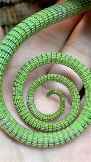 222K views · 1.2K reactions | Only a few more days of eating meals in...