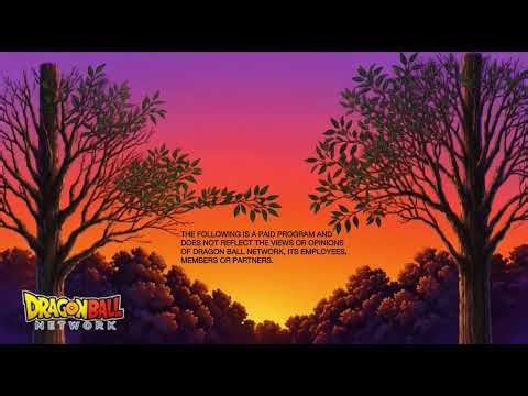 Dragon Ball Network Paid Program Disclaimer (2013-2017)