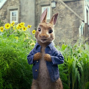3.3M views · 52K reactions | This March, to save their world , the wild will rise  #PeterRabbitMovie | Peter Rabbit Movie | Facebook