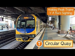Transport for Sydney Vlog 924: Circular Quay Station - Holiday Peak Trains + A Rare Sighting