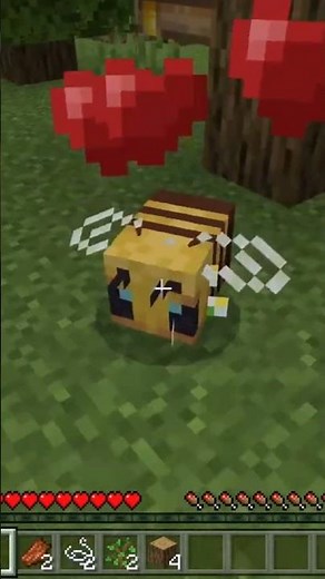 square chil minecraft #minecraftmemes #gaming