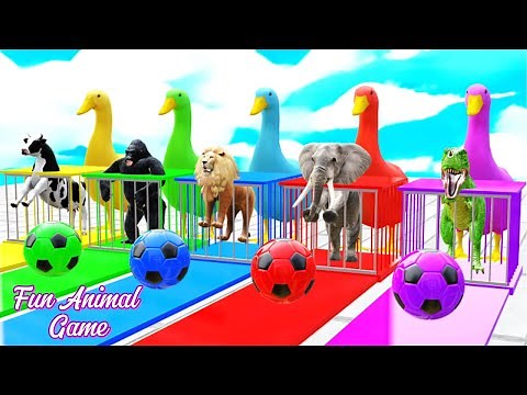 Long Slide Game with Lion, Gorilla, Goat, Elephant & Dino| Funny 3D Animal Slide ‪@Magicslideworld‬