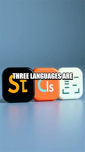 Primes to Programs: A Fresh Beginner's Guide