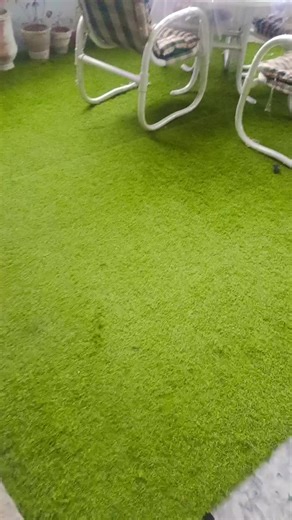 First Rain of the Year: Nature's Refreshing Start