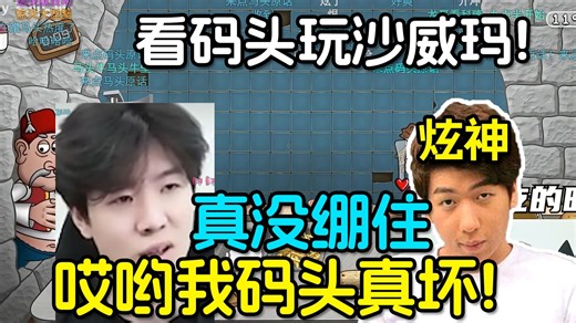 【炫神】难绷TheShy玩沙威玛传奇！真没绷住来点码头原话！唉你们素质太差了天天攻击选手！