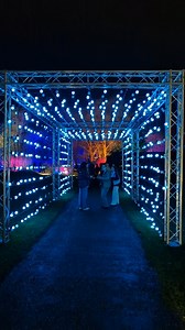 🌟 Let the magic begin… 🌟 Cambridge Botanic Lights returns tonight - and the Garden is glowing. 🌱 💫 From fluttering fairies to a dazzling disco ball, shimmering seeds on the Lake and a breathtaking projection on Cory Lodge … this year’s trail is unique to the beautiful Cambridge University Botanic Garden and full of magic and wonder. Warm up with festive treats around the Garden - waffles, mulled wine, gingerbread hot chocolate, prosecco and more - with plenty of places to pause and soak it a