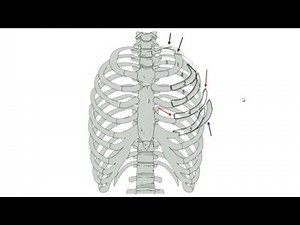 Rib Fractures