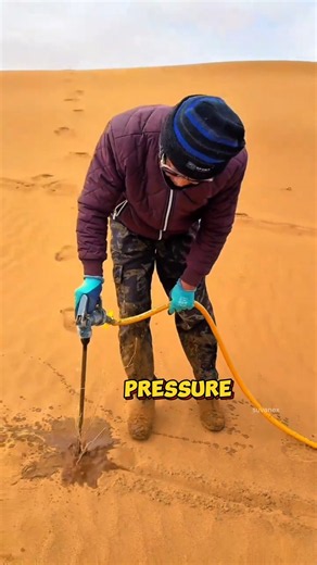 How Do Plants Survive in the Middle of a Desert?