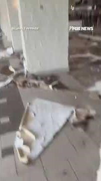 WATCH: Residents in Jamaica survey devastation after deadly Hurricane Melissa #shorts #foxnews #us