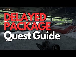 Delayed Package | PLA 03 KEY REQUIRED | Gray Zone Warfare #grayzonewarfare #gzw