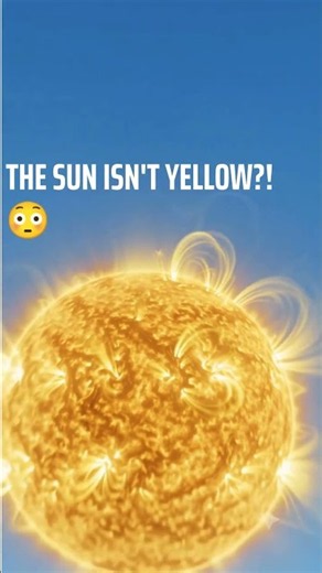 The SUN Isn’t Actually YelloW?! 😳