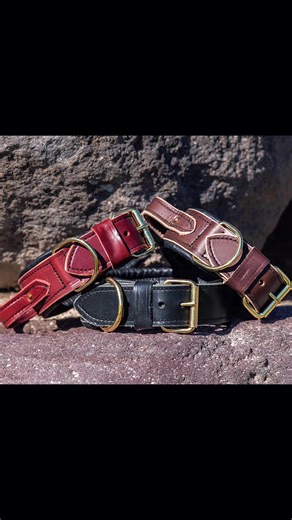 These Padded Leather Collars with Handles are handmade in the US with high quality materials and are made to last. For a limited time, get yours for 20% off! Sale ends October 31st. 📸: @carliemorganphotos on instagram. - #pawsomedogsports #doggear #doglife #sportdog #leather