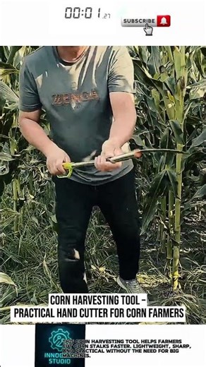 Corn Harvesting Tool – Practical Hand Cutter for Corn Farmers