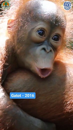 22K views · 1.2K reactions | Doesn’t time just fly?  One moment,...