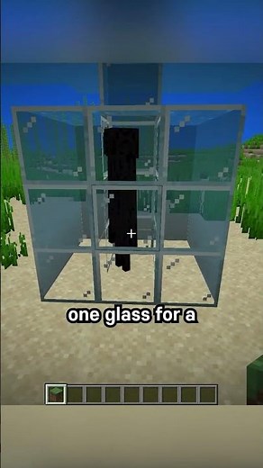 enderman torture #minecraft