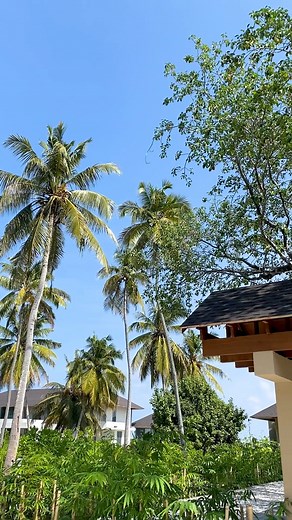 240 reactions · 18 shares | Escape to paradise and indulge in luxury at Madifushi Private Island Maldives ☀️ Madifushi Private Island is a natured-centric island, an unblemished serene coastal getaway for everyone ready to be relived. #MadifushiResort #Maldives #IslandEscape #MaldivesVirtualTour #Maldives #VisitMaldives #Maldives #Maldives #Vacations #Paradise #VisitMaldives #Explore #TravelBlog #TravelPhotography #TravelBug #LuxuryTravelmaldives | Maldives Virtual Tour | Facebook