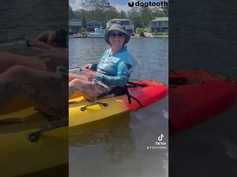 Kayaking Karen Gets Instant Karma by Falling Into Water During Rant at Boaters || Dogtooth Media