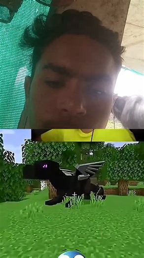 Dragon Reveal Moment 🥶 #technogamerz