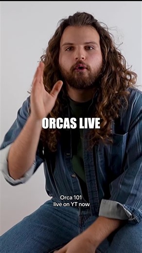 Orca Facts: Learning About Killer Whales on TikTok