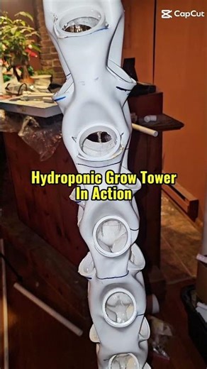 🌱 The 3 Most Common Hydroponic Systems Explained | Beginner-Friendly Guide