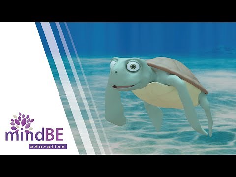 Mindful breathing for kids with Toby the Turtle! Calming breaths.