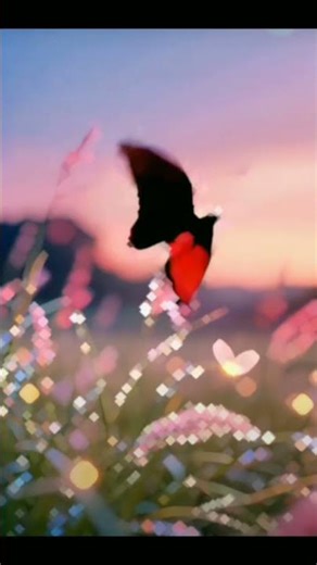 Be khud kiye dete hai whatsapp status #love #facts #quranictranslation #trending #short