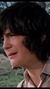 Albert Ingalls Quinn / Matthew Labyorteaux Little House on the Prairie #MichaelLandon #matthewlabyorteaux #littlehouseontheprairie #AlbertIngalls | Ronny Henning