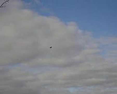 Spring (3rd movement, Allegro) - Antonio Vivaldi