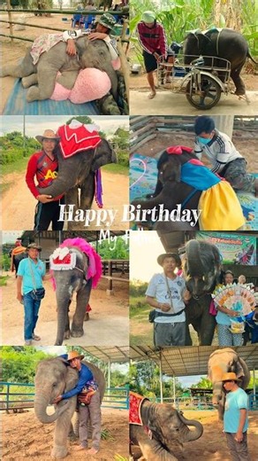 วันเกิดพ่อจ๋า happy birthday🎂🎈🎉🎁💖🐘