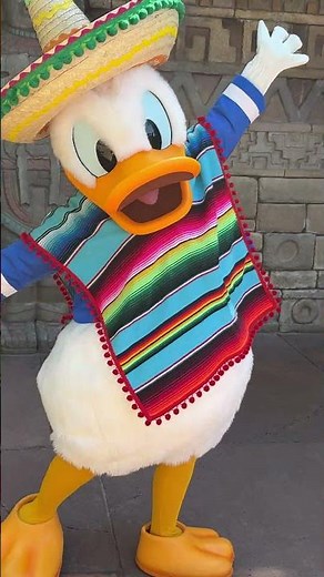 Disney Donald Duck at EPCOT Mexico Pavilion 🎂 #disney #disneyworld #disneycharacters #disneyparks
