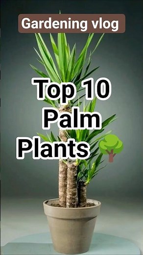 🪴 Top 10 Palm Plants for Home, Balcony & Garden 🌴✨ #gardeningvlog #palmplant #ytshorts #shorts
