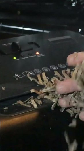 Composting - Shredded Cardboard