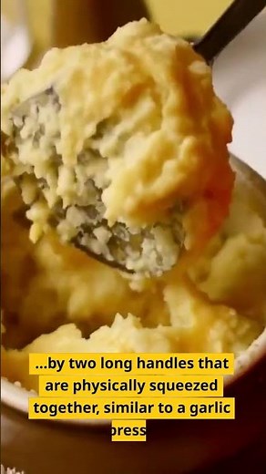 3 Potato Ricer Facts You Must Know – An Amazing Guide