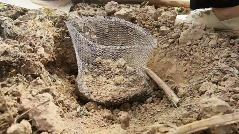 20 Packs Gopher Baskets 1 Gallon Size Stainless Steel Metal mesh to Protect Plant Root from Gophers, Moles and Voles