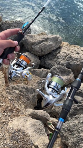 Exciting Day Fishing in Perth