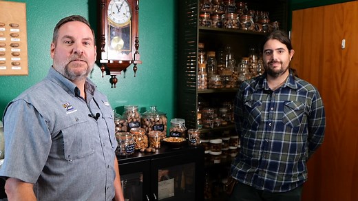 It's time to plant pecan trees in Louisiana. LSU AgCenter horticulturist Jason Stagg talks with AgCenter horticulturist Michael Polozola about some of the best pecan varieties for our state and the best time to plant them. | LSU AgCenter