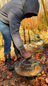 Classifying dirt for gold #gold #goldmining #goldprospecting #goldrush #goldpanning #fyp | Au DMV.