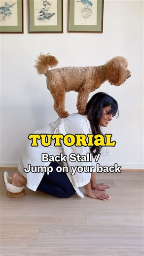 32K views · 41 reactions | ★ Tutorial - BACK STALL - Train your dog...