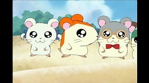 hamtaro capitulo 6