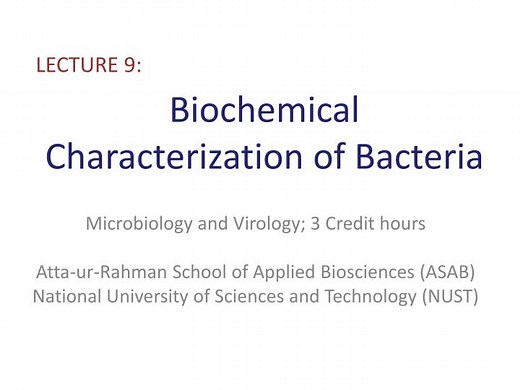 Biochemical Characterization of Bacteria - SlideServe
