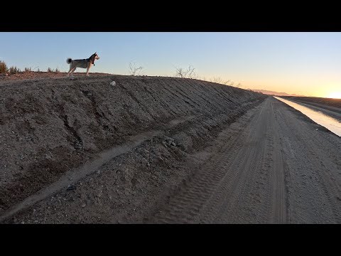 Luna Cam: Shitz Creek | Yuma AZ