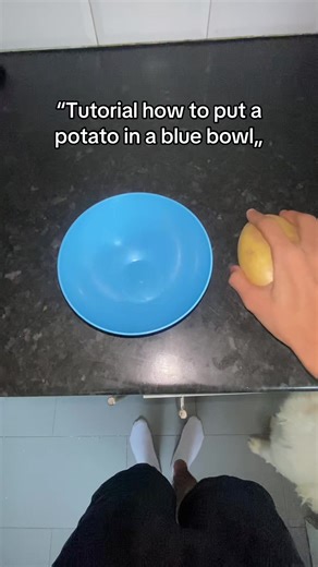 How to put a potato in a blue bowl | potato