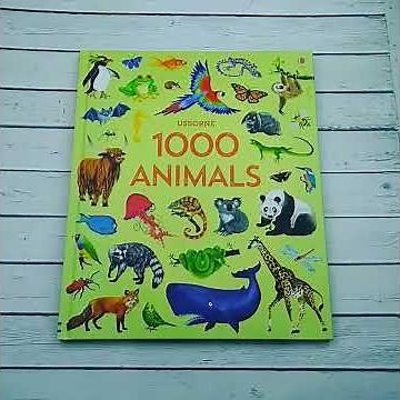 1000 Animals/ Usborne Publishing Limited
