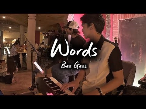 Bee Gees - Words Acoustic Cover