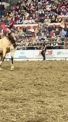 Sankey Pro Rodeo on Instagram: "MUSTARD and @garrett_shadbolt for the Win at the @chasehawksmemorial this weekend!!! @westernedge.media @montanaknifecompany @cinchjeans @phenomgenetics @pendletonroundup_hc @lewistonroundup @twinfallscountyfair @dillonjayceerodeo @chicksnchaps @sheridanwyorodeo @battlebornbroncs @cowboychannel @prca_prorodeo @stpaulrodeo @daysof47rodeo @vividnorthwest @sheridancollegerodeo @big_sky_pro_rodeo @montana_expopark @broncridingnation @buckinghorsebreedersassociation"